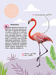 Children's Encyclopedia. Animals