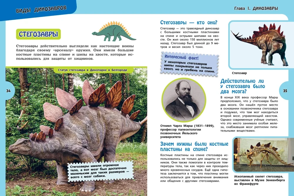 The Great Encyclopedia for Inquisitive Boys