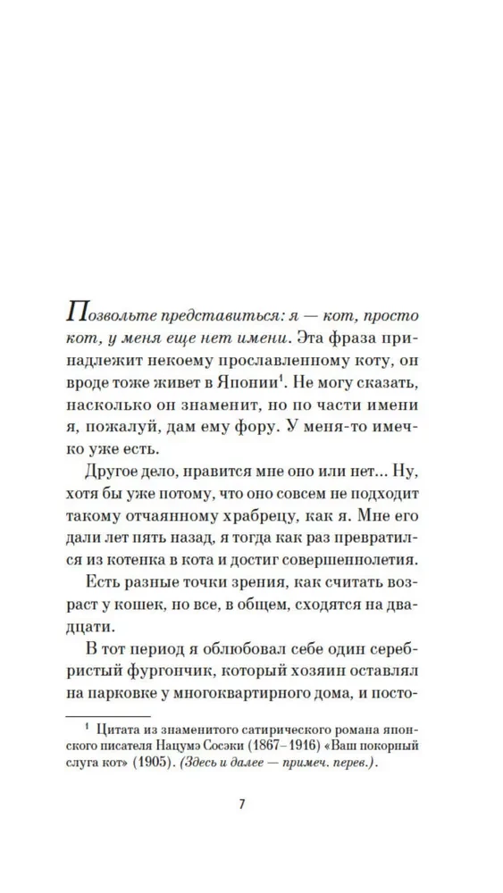 Kroniki wędrującego kota