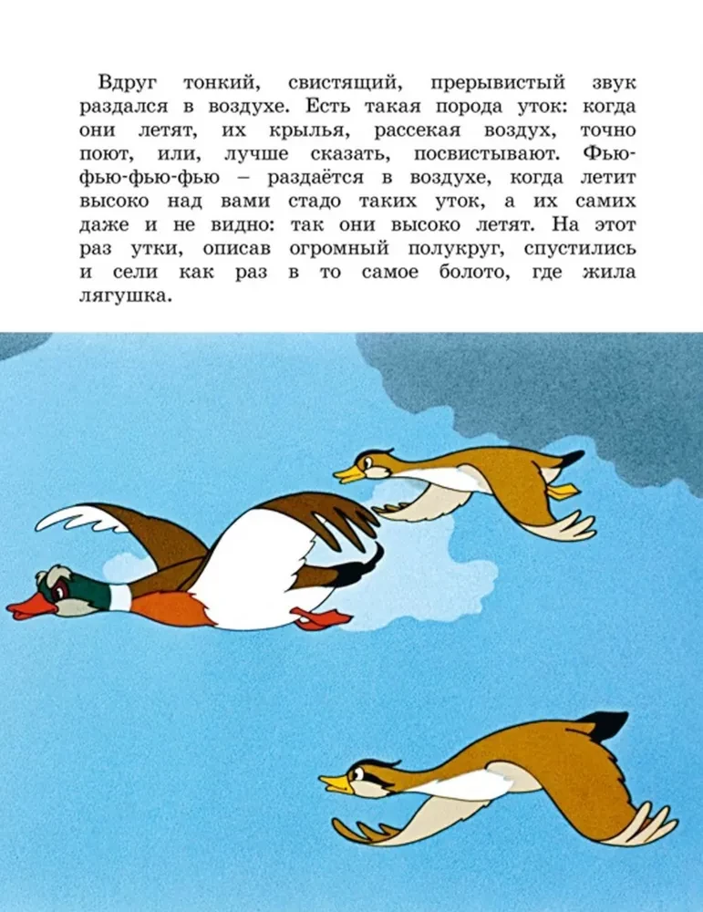 Kelionė su varle
