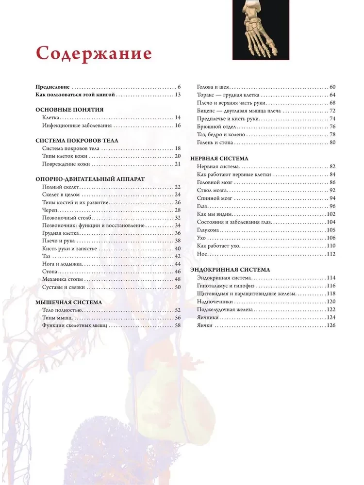Anatography. Atlas of the Human Body