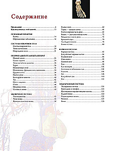 Anatography. Atlas of the Human Body