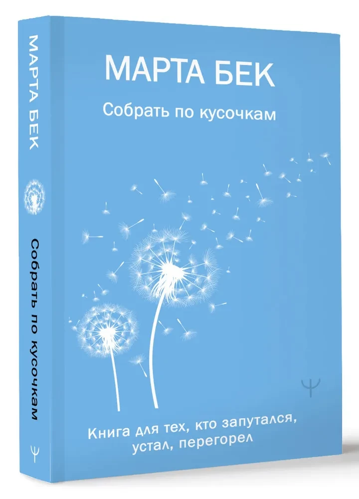 Collecting Piece by Piece. A Book for Those Who Are Confused, Tired, and Burned Out