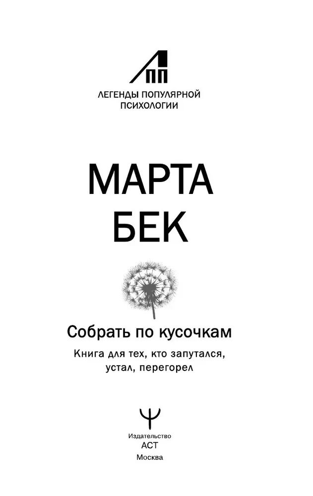 Collecting Piece by Piece. A Book for Those Who Are Confused, Tired, and Burned Out