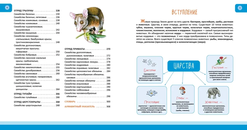 Animals. Complete Encyclopedia