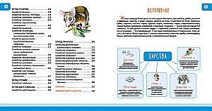 Animals. Complete Encyclopedia