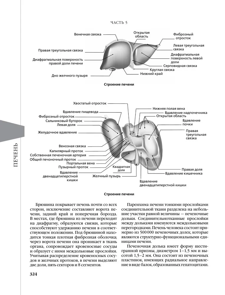 Evidence-based Gastroenterology. New Trends, Check-ups and Protocols