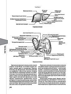 Evidence-based Gastroenterology. New Trends, Check-ups and Protocols