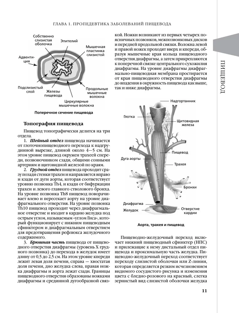 Gastroenterologia oparta na dowodach: nowe trendy, badania kontrolne i protokoły