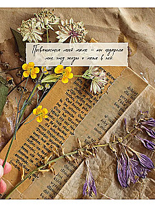 The Happiness of Creativity. A Book About the Romance of Country Life, Handicraft Evenings, and Unity with Nature
