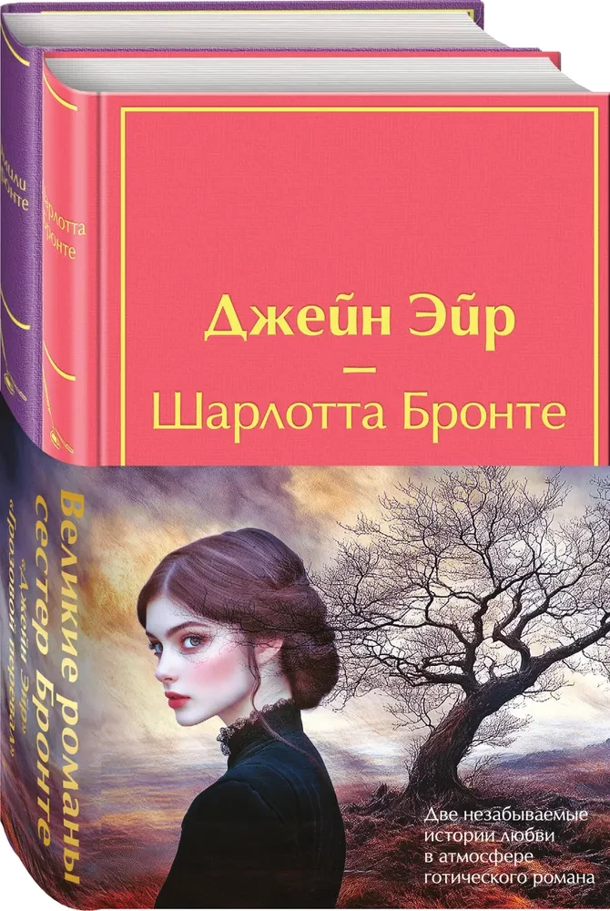 Set - The Great Novels of the Bronte Sisters (in 2 books: Jane Eyre and Wuthering Heights)
