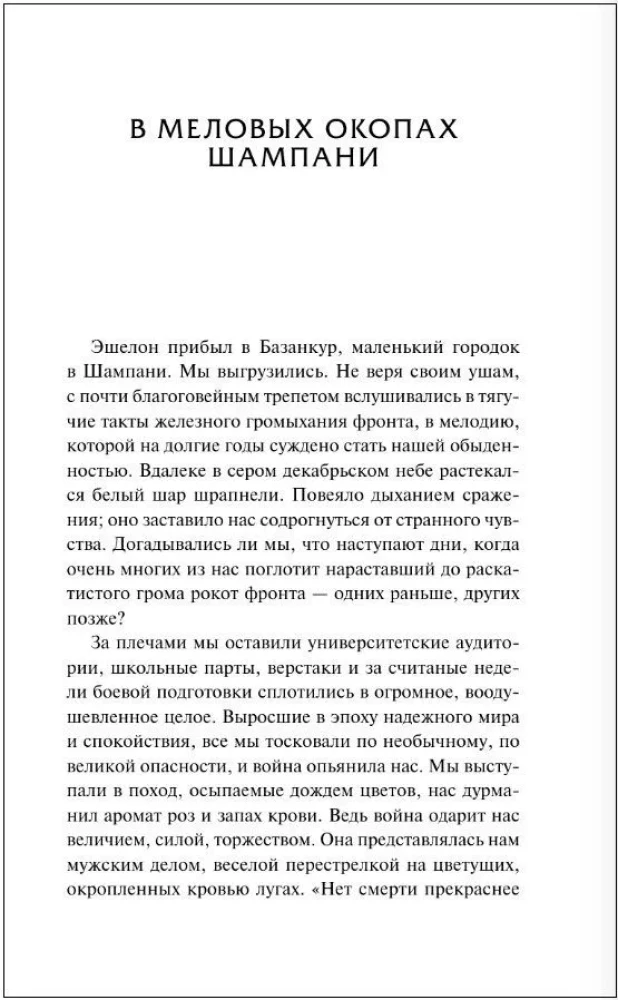 В стальных грозах