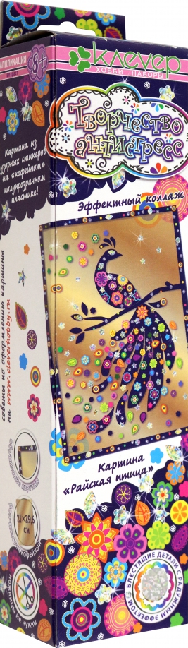 Zestaw do tworzenia obrazu - Rajski ptak