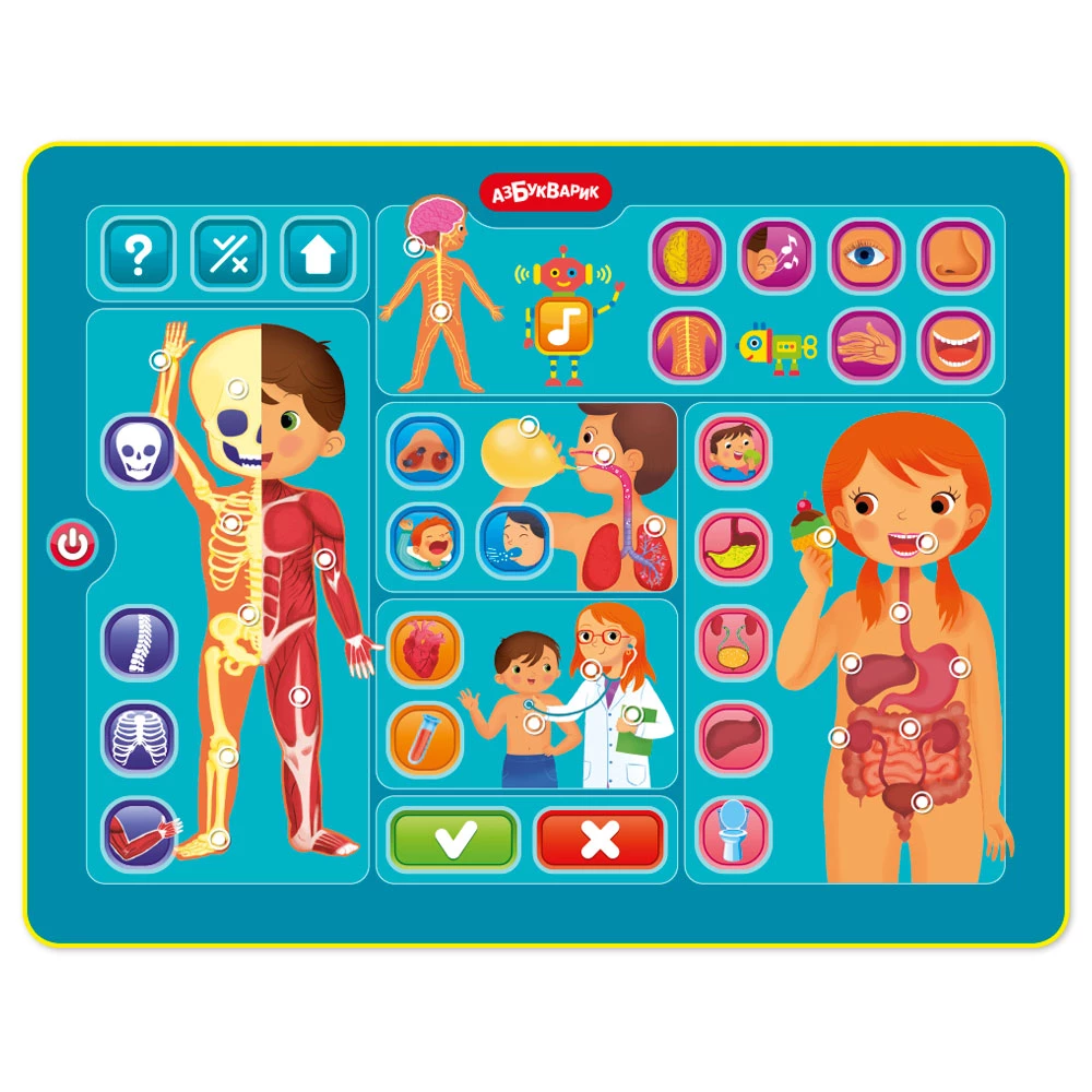 Tablet - Human Body