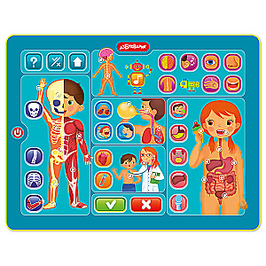 Tablet - Human Body