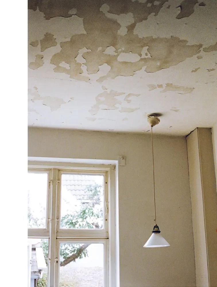 Wabi-sabi. Japońska gościnność