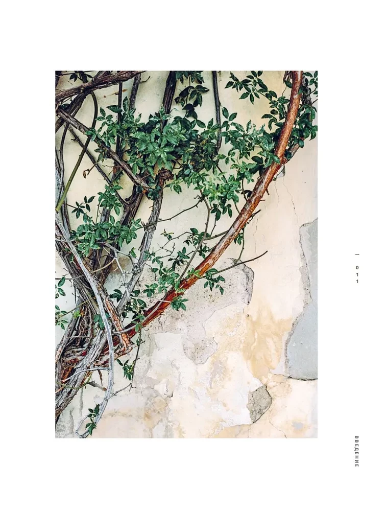 Wabi-sabi. Japońska gościnność