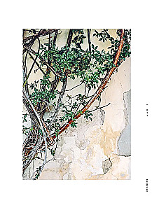Wabi-sabi. Japońska gościnność