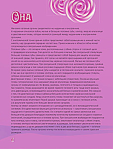 The Perfect Kamasutra. Barbisutra for Every Day for Those Who Are Already Grown Up