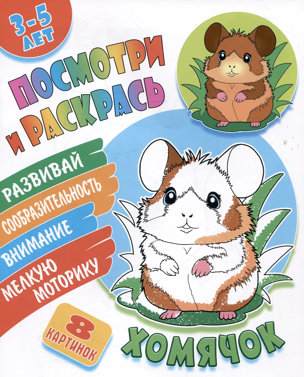 Chomik. Zobacz i pokoloruj