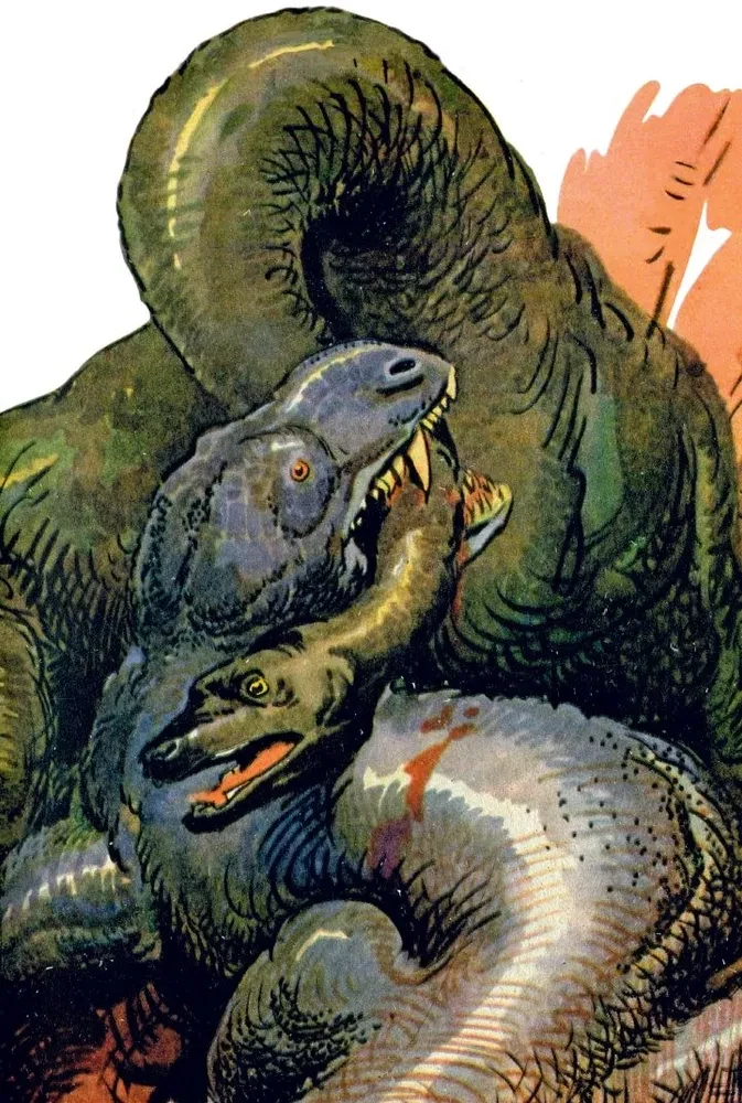 Królestwo krzywych luster