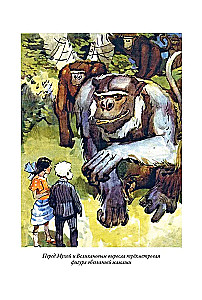 Królestwo krzywych luster