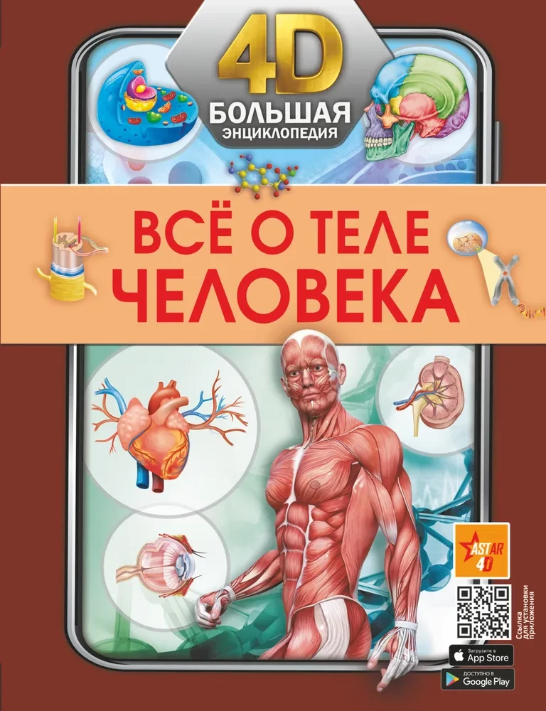 Everything about the human body