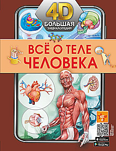 Everything about the human body