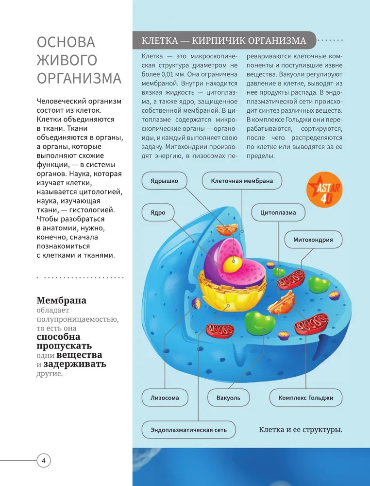 Wszystko o ciele człowieka