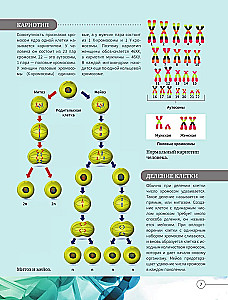 Everything about the human body