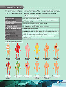 Everything about the human body