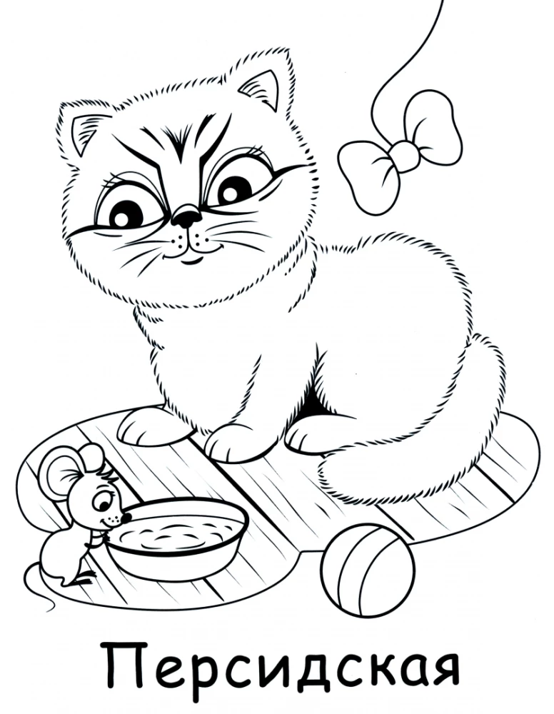 Katzen