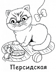 Kittens