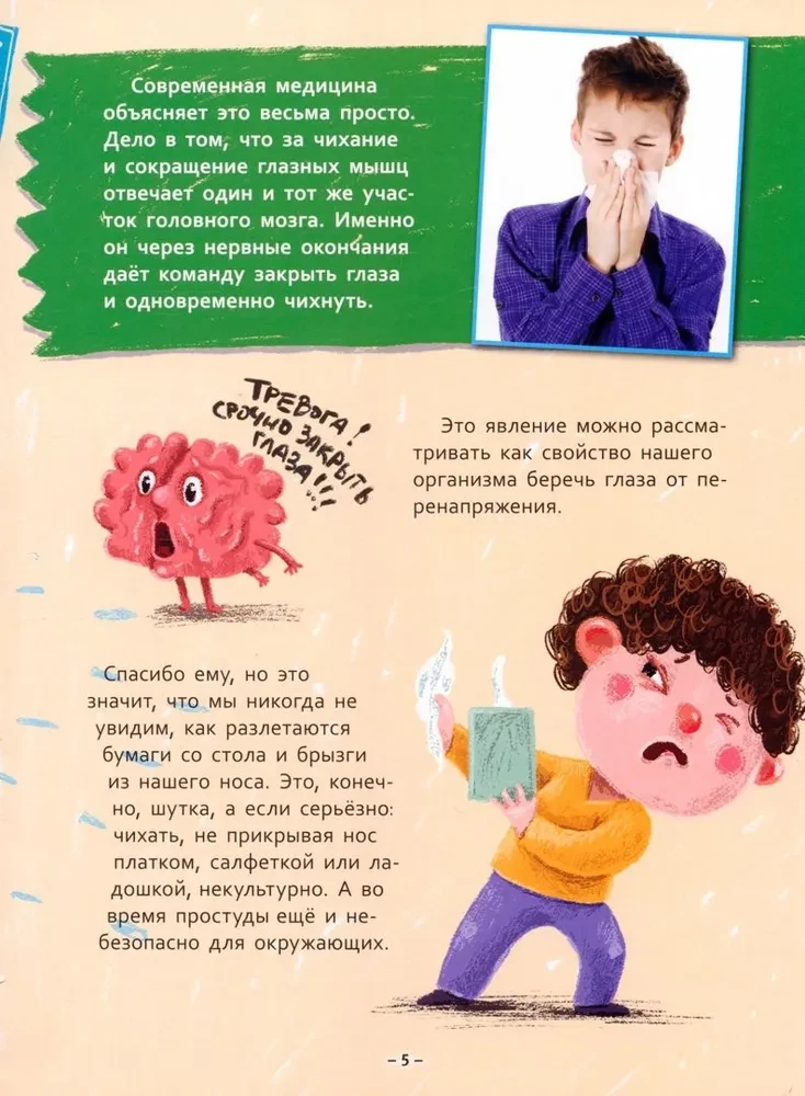 Тело человека