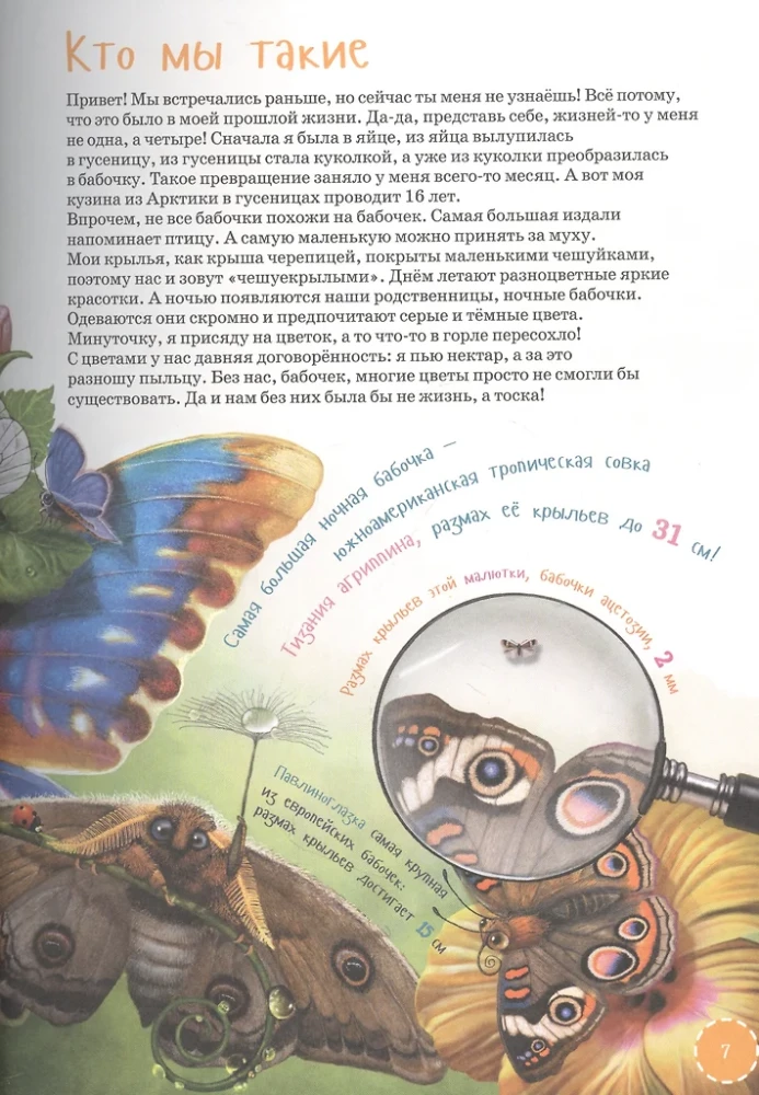 The Most Unusual and Rare Animals. Encyclopedia