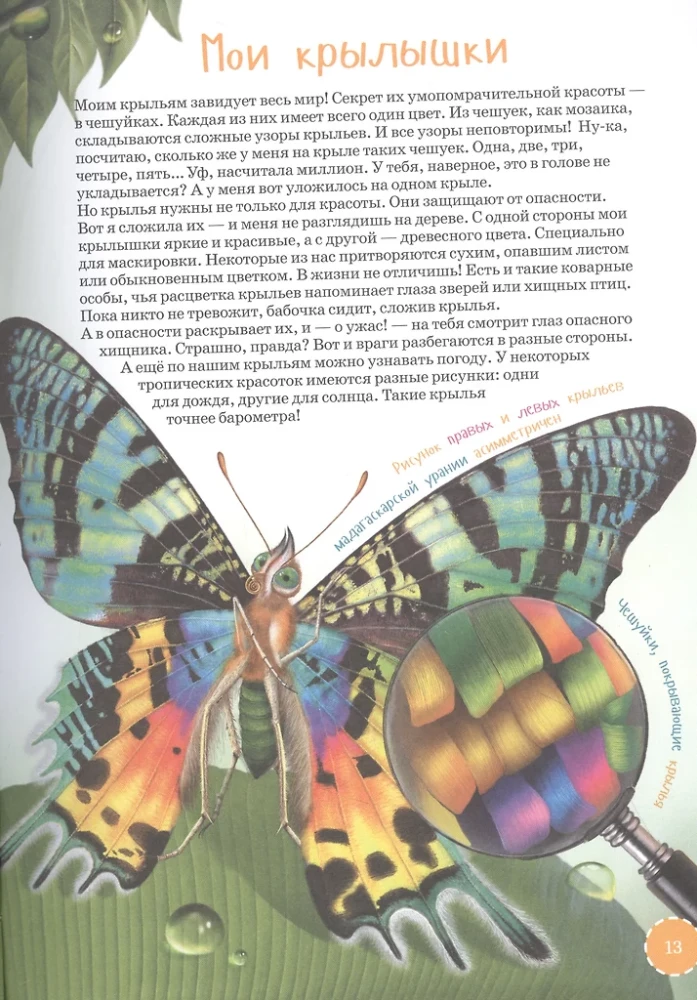 The Most Unusual and Rare Animals. Encyclopedia