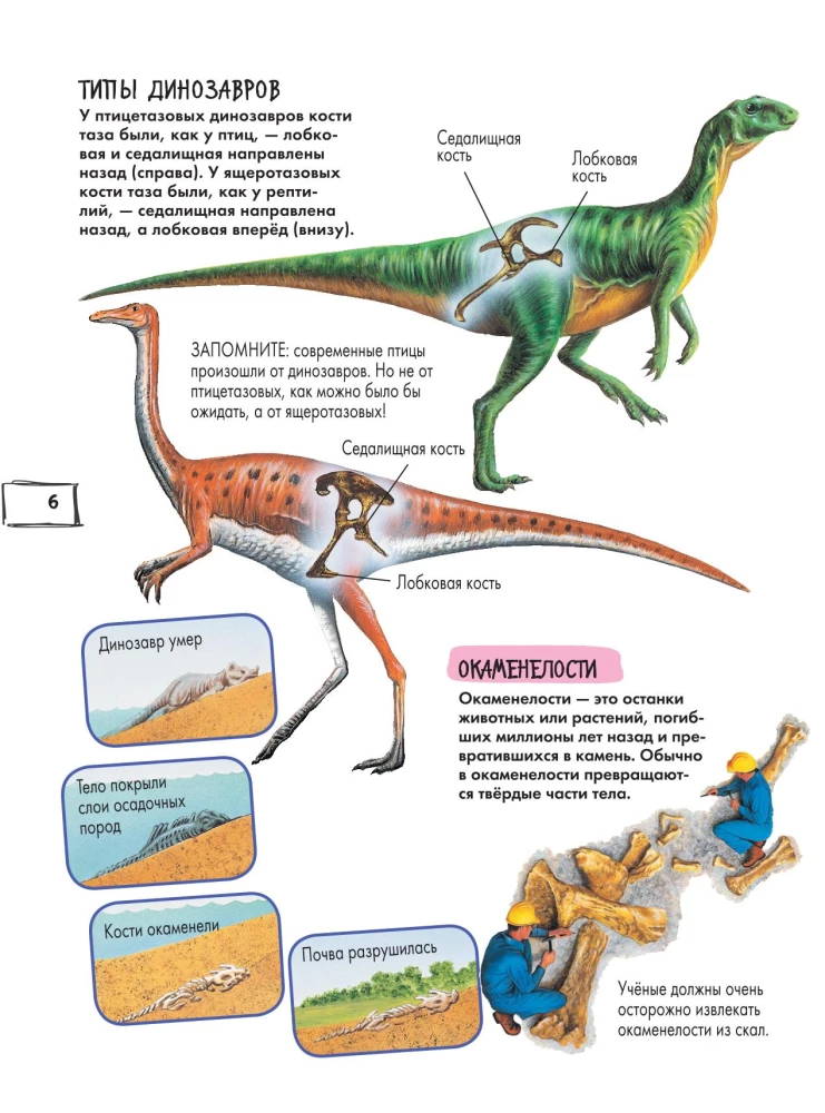 Dinosaurs