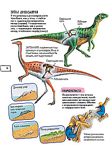 Dinosaurs