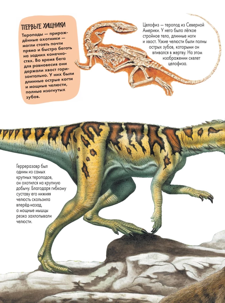 Dinosaurs