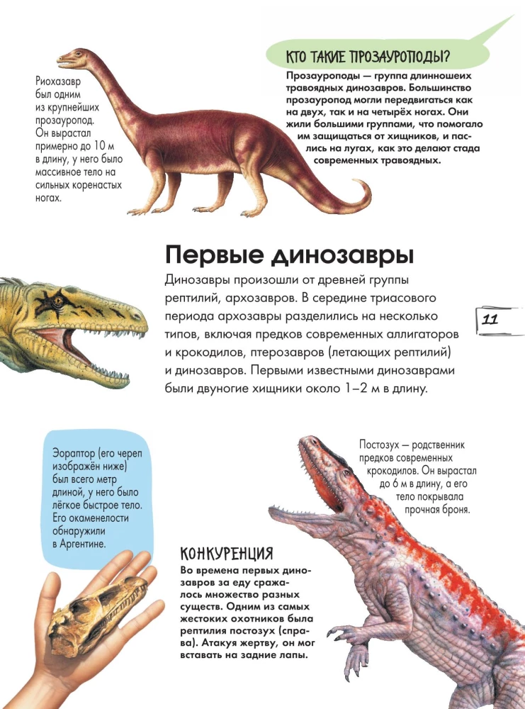 Dinosaurs