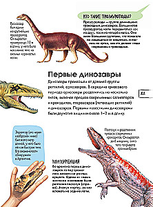 Dinosaurs