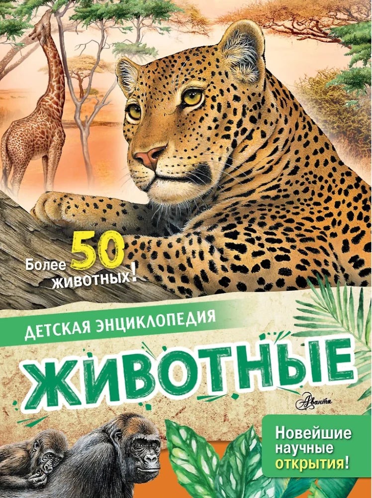 Animals