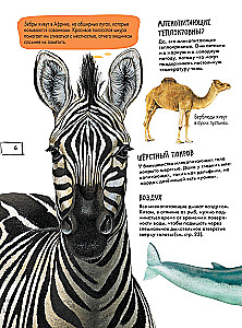 Animals