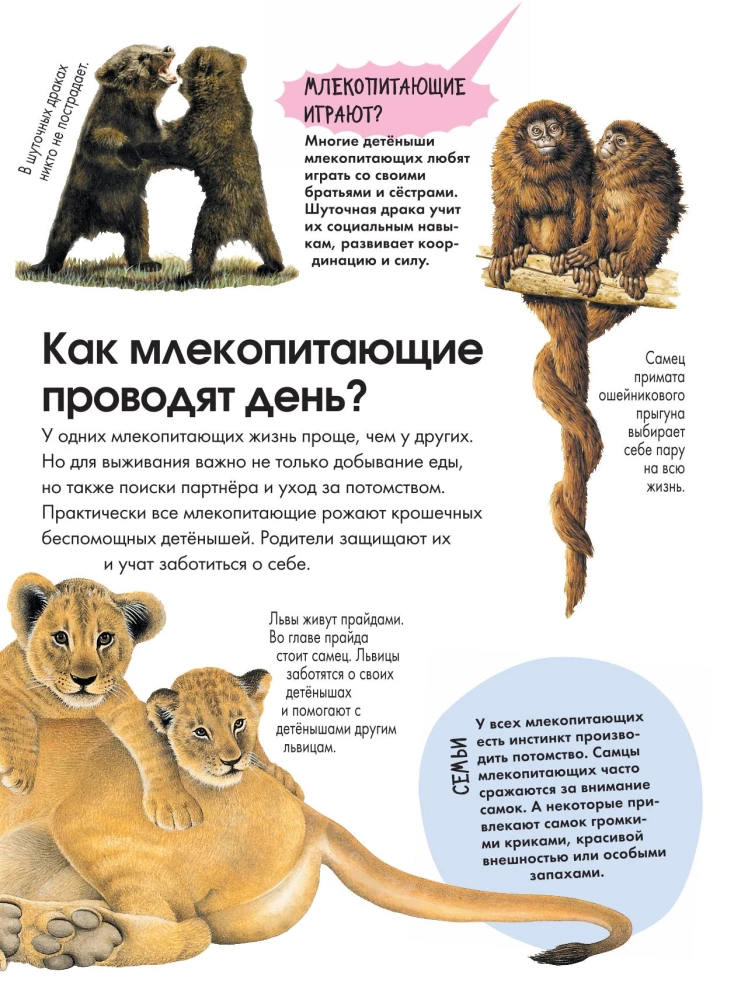 Animals
