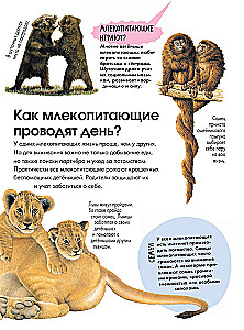 Animals
