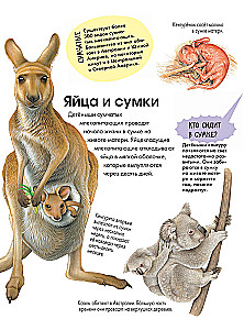 Animals