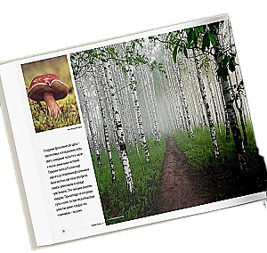 Niepowtarzalna Rosja. Dziedzictwo przyrody naszego kraju w fotografiach podróżników Nature Photo Team