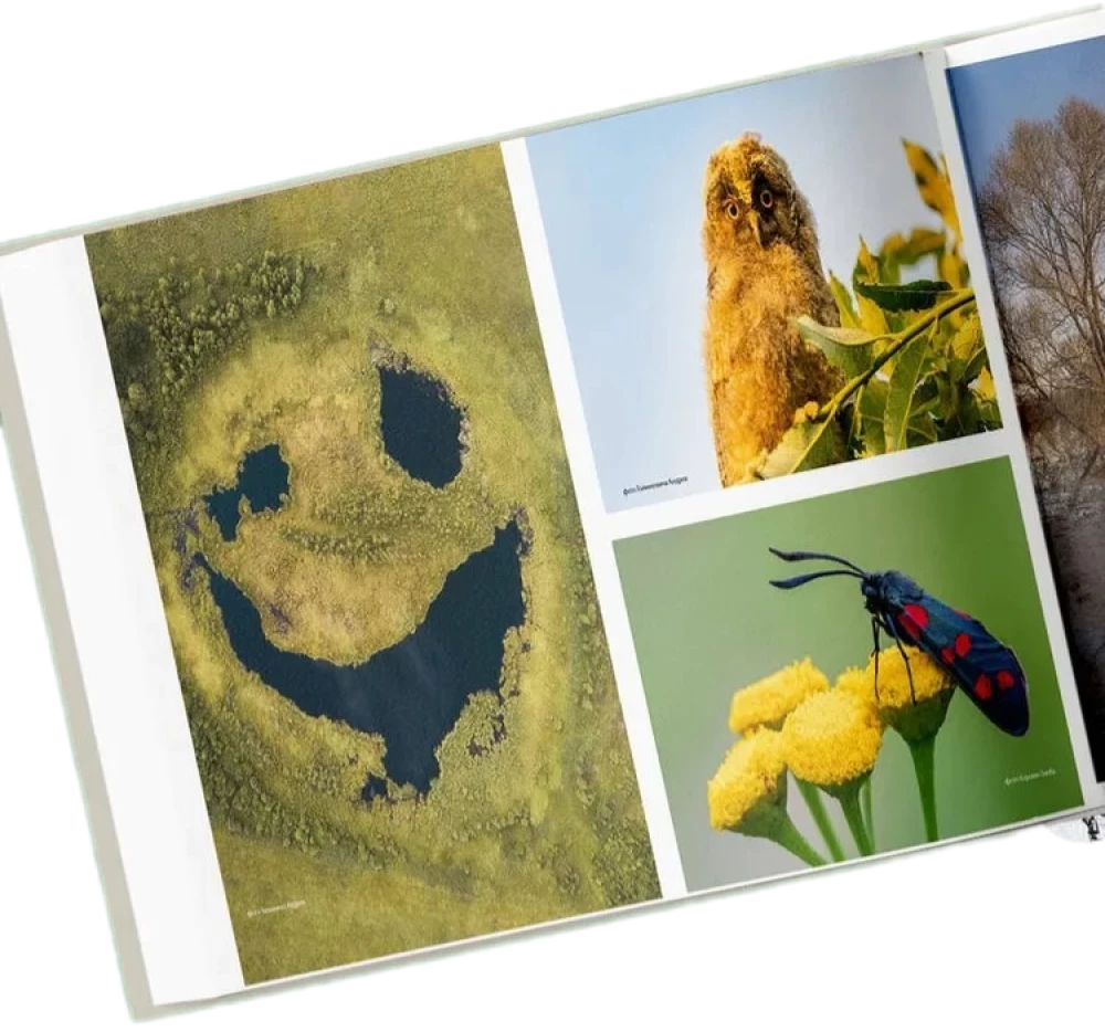 Niepowtarzalna Rosja. Dziedzictwo przyrody naszego kraju w fotografiach podróżników Nature Photo Team