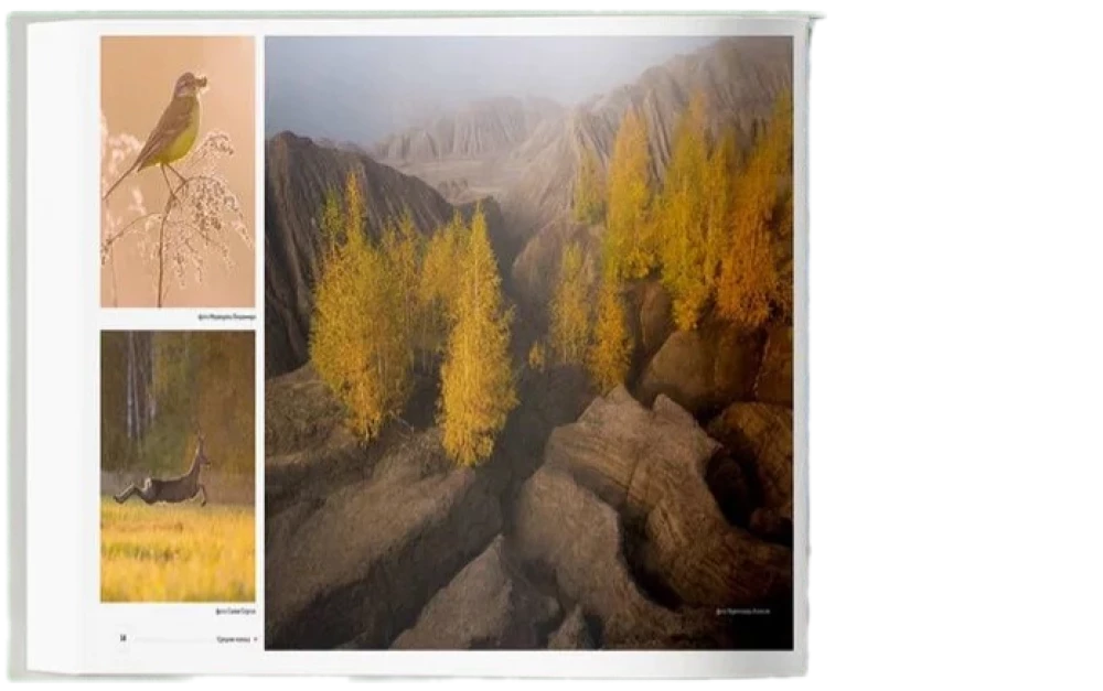 Niepowtarzalna Rosja. Dziedzictwo przyrody naszego kraju w fotografiach podróżników Nature Photo Team