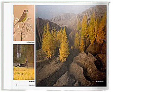 Niepowtarzalna Rosja. Dziedzictwo przyrody naszego kraju w fotografiach podróżników Nature Photo Team